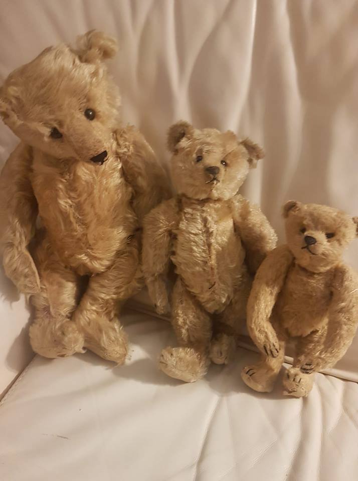 animali, orsi, brand 1, italiane, medie dimensioni, epoca 1920